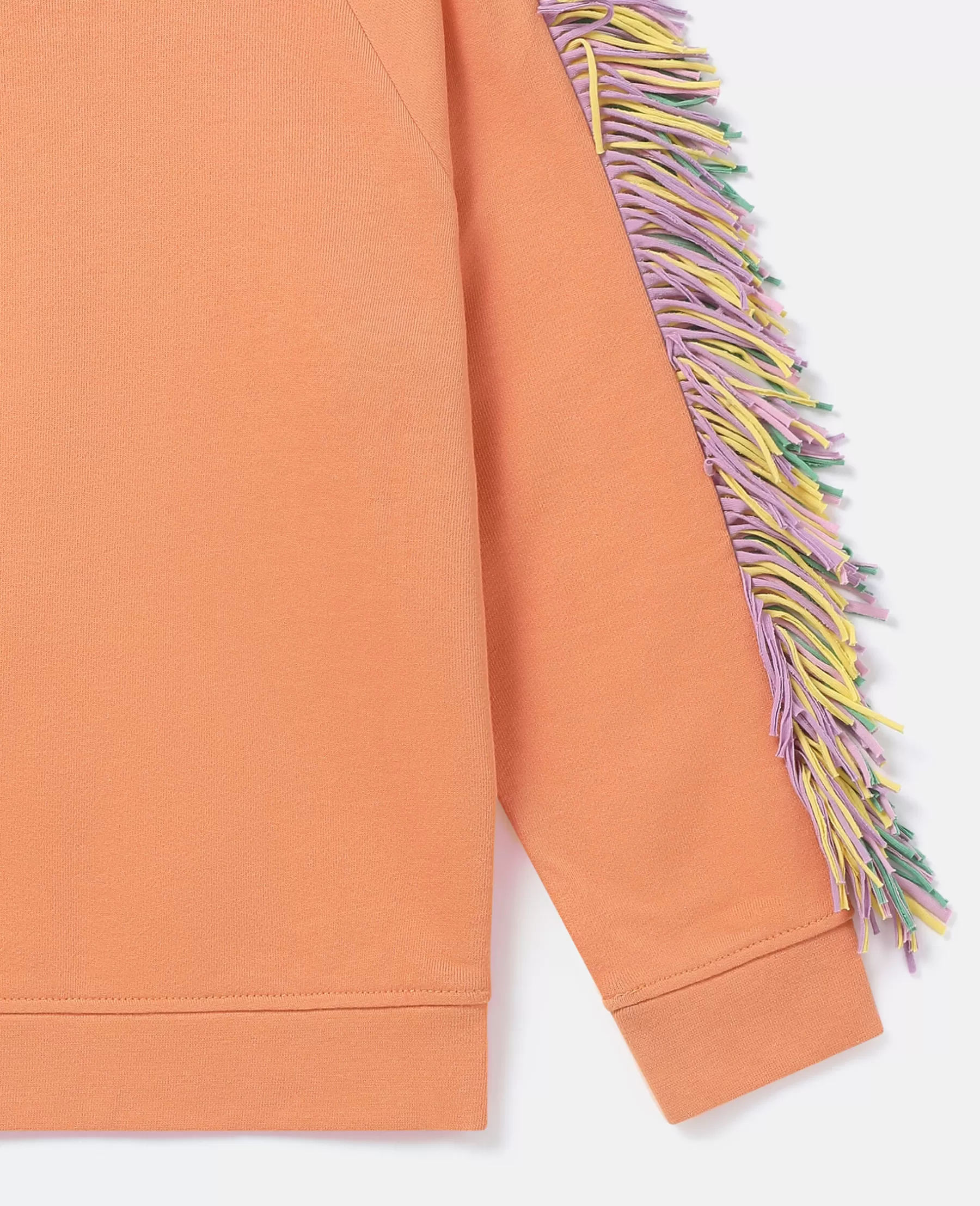 Stella McCartney Fringed Star Sweatshirt New