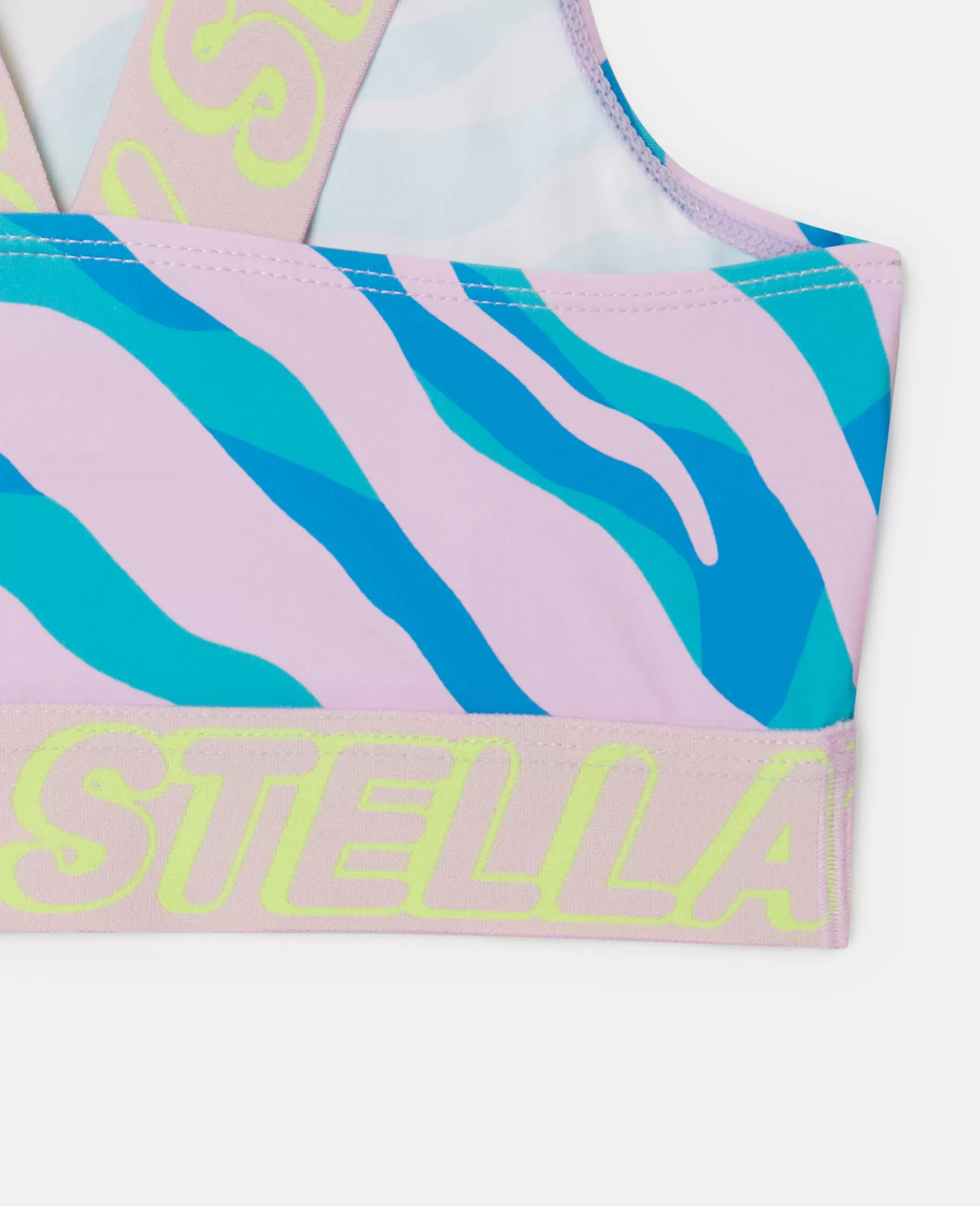 Stella McCartney Zebra Print Crop Top Store